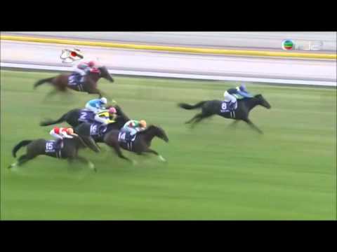 2015 Tenno Sho Auntumn - Lovely Day