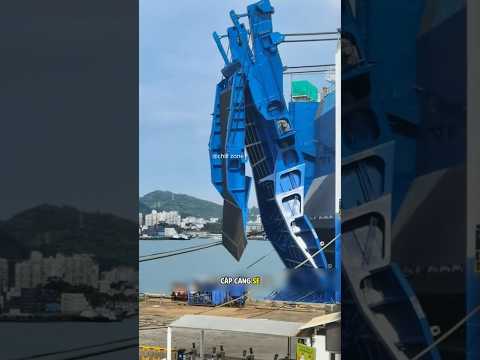 Đây là tàu Ro Ro khổng lồ chuyên vận chuyển ô tô