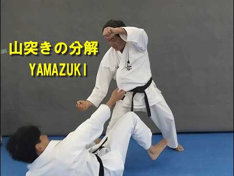 抜塞(バッサイ)の山突きの分解　bassai yamazuki bunkai