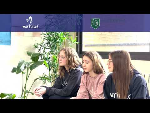preview video