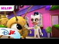 Hjælp Fra White Tiger Spidey Og Hans Fantastiske Venner Disney Junior Danmark