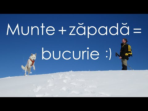 Iarna în MUNȚII BAIULUI - De la Azuga la Bușteni, cu cortul pe Vârful Băiuțul