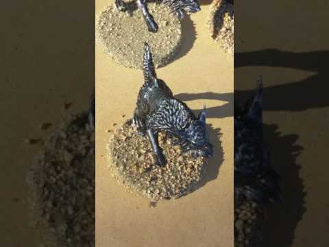 Space Wolf Showcase 2200 Points