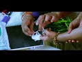 Allari Naresh Heroine Poorna Scene Seema Tapakai