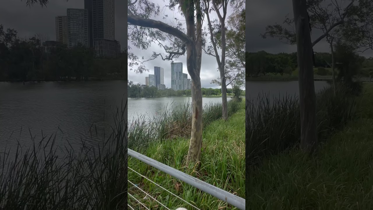 YouTube Short thumbnail