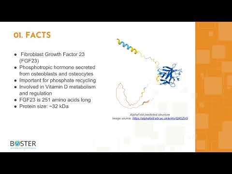 Learn FGF23 in 3 minutes | Fibroblast growth factor 23