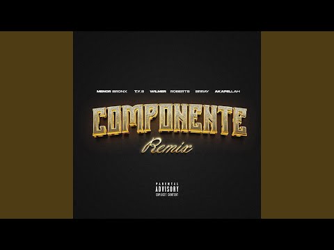 Componente (Remix)