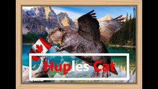 Canada Day, Up Canada Way - Stompin' Tom Connors and Canadian YT Channels