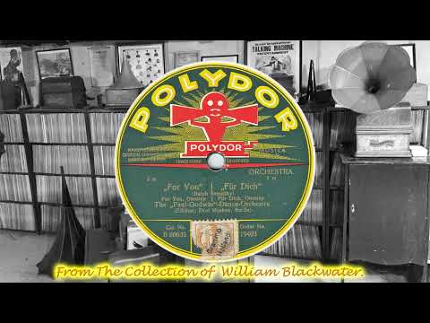 Paul Godwin Dance Orchestra, The - Für Dich