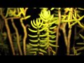 WARM GELL Light In The Dark Installment II