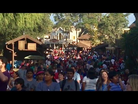 TDW 1639 - How Busy Is Disney World Christmas Day ?