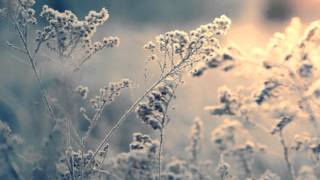 Dawn Richard - Change