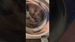 Only girls video 18 subscribe like more videos #shorts