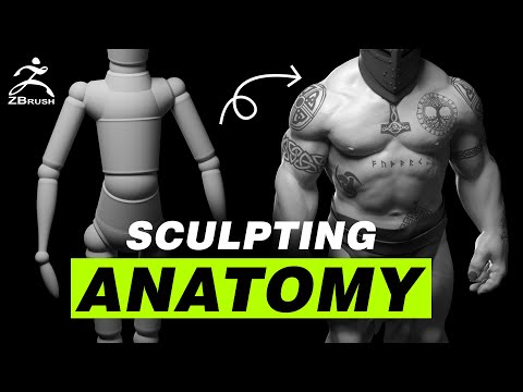 Sculpting Anatomy In Zbrush