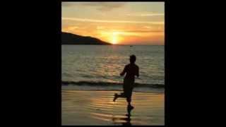 Melissa Etheridge  I Run For Life