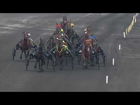 2010 PRIX DU BOURBONNAIS - LA COURSE - PRIVATE LOVE