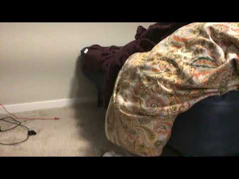 All about Pavit Singh