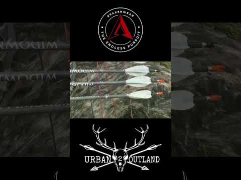 RED DEER ROAR 2025     #reddeer #bowhunting #hunting