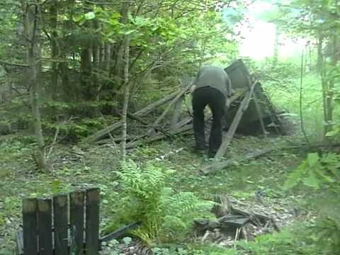 Swammling Group - Caesar - Urskogsdjuret