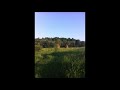 Wild Cyclone Pt 1 - Woody Guthrie (Cover)