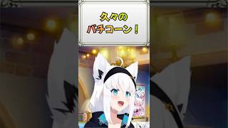 【＃２０９】ファンサのバチコーンで照れて隠れるフブちゃん🌽