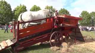 preview picture of video '2013 09 09 - La Fête des Moissons à Sagy - Le blé battu à la Force du Cheval'