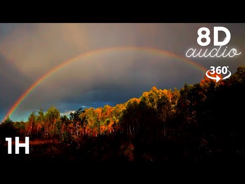 CAN'T SLEEP? 8D Audio Heavy Forest Rain & Thunder Sounds! Rainbow & sunshine to beat anxiety!