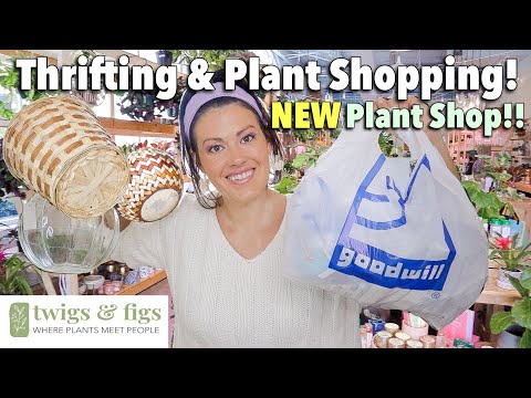 Thrifting & Plant Shopping! NEW Plant Shop in Charlotte! Plant Shop With Me & Plant Haul