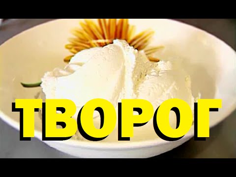 Галилео. Творог