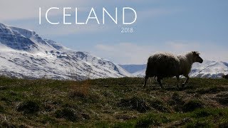 ICELAND - Take me Home, BLACK FOXXES