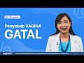 Penyebab Vagina Gatal
