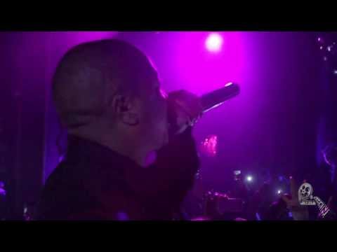 XZIBIT'S INTRO AT HIS BIRTHDAY BASH WITH BIG RyAT