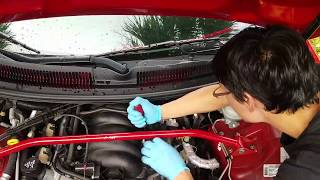 Code p0446 on the camaro. EVAP Purge Solenoid replacement. Plus, a thirsty reptile.