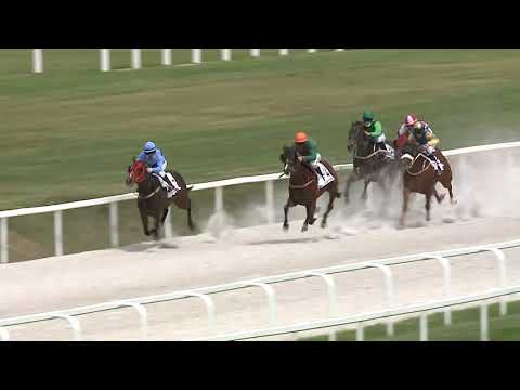 2021.06.05. 02. futam - DR GURU HENDIKEP (III.o.) (szintetikus pálya)