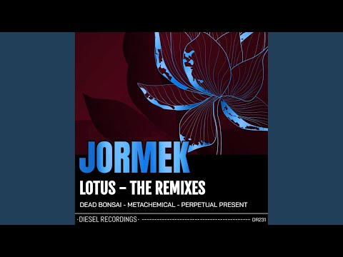 Lotus - The Remixes (Perpetual Present Remix)