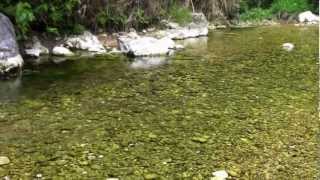 preview picture of video 'Sierra de Alicante, Pantano de Beniarres, Barranco de la Encantada y Lucho I.MOV'