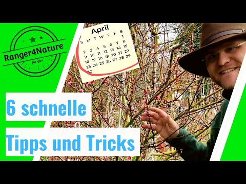 JETZT ERFOLGREICH im April🗓️ gärtnern!🤠 Mit diesen TIPPS und TRICKS 😉 #ranger4nature