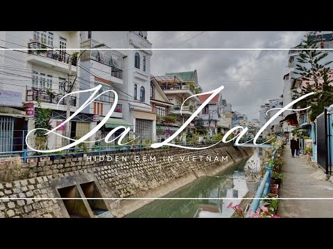 The amazing city of Vietnam - Da Lat 🇻🇳