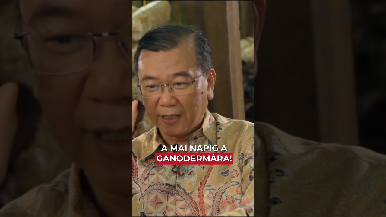 Miért a Ganoderma lett a DXN főterméke?