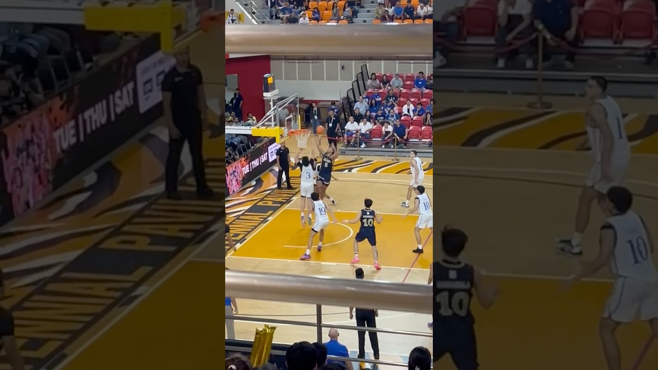 Highlights: PJ Palacielo backs down his defender