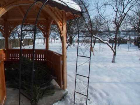 Tudor Gheorghe "Colindul celui fara de tara"