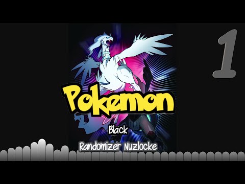A Time Lord Is Born!| Pokémon Black Randomizer Nuzlocke Ep.1