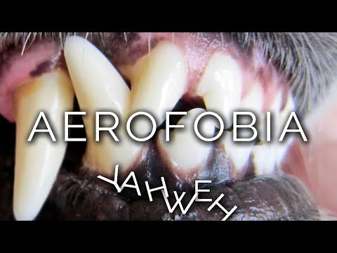 1018-IT Annalisa, AEROFOBIA - Ipnosi Esoterica ∞ Lucio Carsi