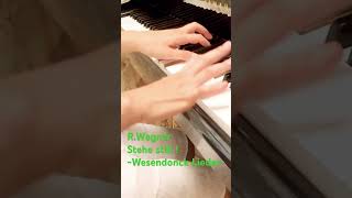 Download lagu L’esercizio quotidiano #wagner #wedendoncklieder #stehestill #ワーグナー #ヴェーゼンドンク歌曲集 mp3 Download lagu L’esercizio quotidiano #wagner #wedendoncklieder #stehestill #ワーグナー #ヴェーゼンドンク歌曲集 mp3
