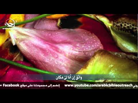 بالأحضان الأبوية - الخدمة العربية للكرازة بالإنجيل