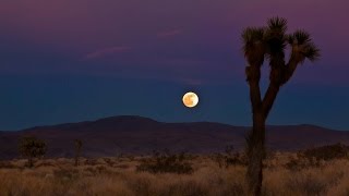 Route 66  Asleep at the wheel