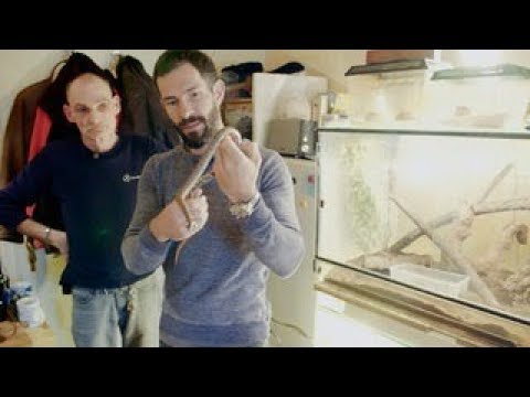 Das Lachen der Anderen - Tierliebhaber