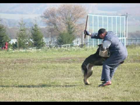 Senior Lazian 2009Ful.mpg