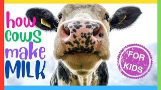 How Cows Make Milk: Simple Explanation 🥛