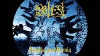 Obtest - Viena Karta Gyvenime